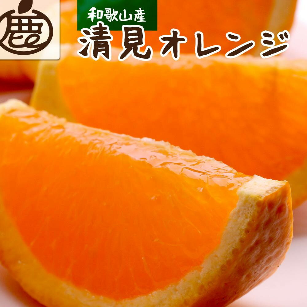 【ふるさと納税】［先行予約］厳選 清見オレンジ5kg+250g（傷み補償分）［光センサー食頃出荷］［樹上完熟きよみオレンジ・清見タンゴール・清美］［IKE148］ | 楽天ふるさと 納税 和歌山県 和歌山 上富田町 清見オレンジ