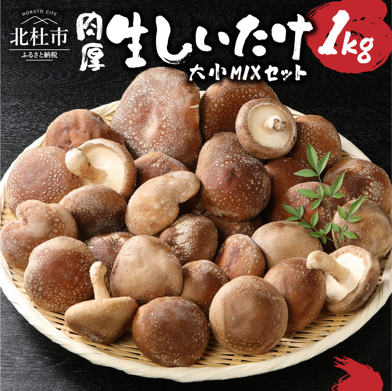 生しいたけ 大小Mixセット(1kg) [h159]