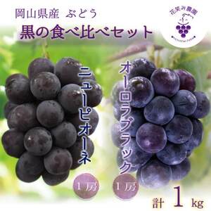 岡山　花笑み農園の『ニューピオーネ＆オーロラブラック』1kg(2房)　PA-1【9月上旬～順次発送】【配送不可地域：離島・北海道・沖縄県】【1627767】
