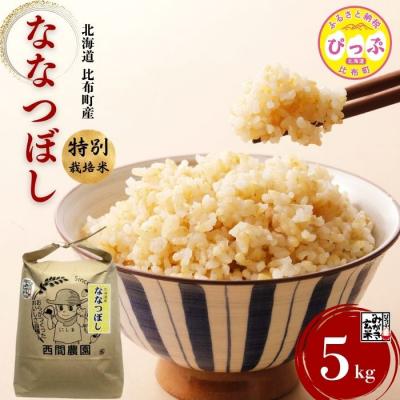 ふるさと納税 比布町 【令和8年産 新米先行受付】特別栽培米 ななつぼし みがき玄米 5kg【西間農園】
