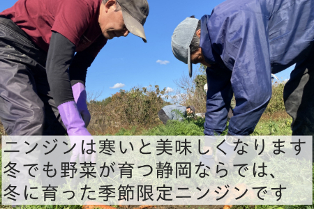 有機ニンジン　農薬不使用　有機JAS認証　冬季限定（12月、1月、2月発送）旬野菜 2133 オーガニック　無農薬　化学肥料不使用　甘みが多く苦味が少ない　人参ジュースにしてごくごく飲めちゃう　にんじ