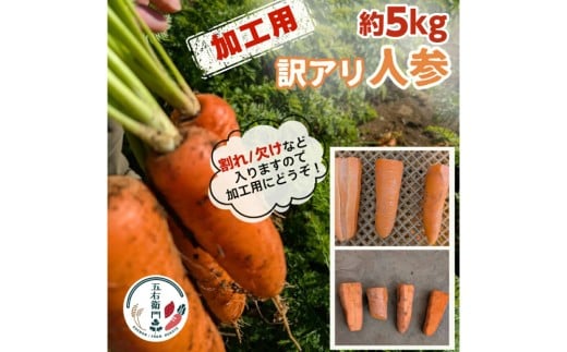 【訳あり】五右衛門の人参 約5kg