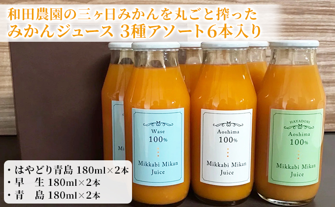 和田農園の三ヶ日みかんを丸ごと搾ったみかんジュース 3種