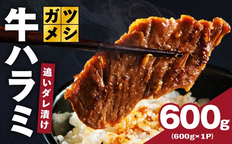 
                  ガツめし牛ハラミ 600g 追いダレ漬け【焼肉 はらみ ハラミ 牛肉 訳あり サイズ不揃い】
                