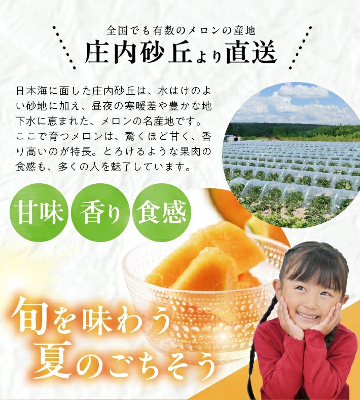 赤肉メロン 約5kg 4～5玉入 山形県遊佐町産 6月下旬～7月下旬頃お届け ※着日指定不可 果物 フルーツ メロン 赤肉 夏 東北 山形県 遊佐町 庄内 庄内砂丘 JA