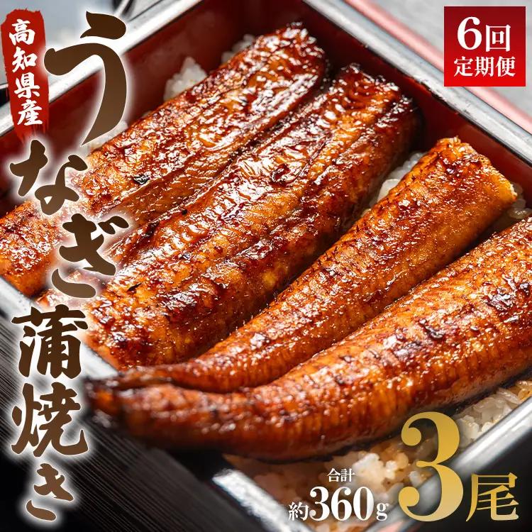 【定期便】うなぎ蒲焼き | うなぎ 定期便 国産 うなぎ 定期便 うなぎ 定期便 Wun-0029