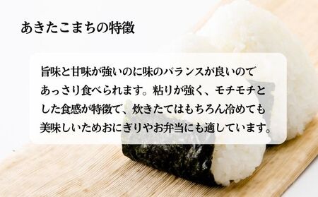 定期便 全3回 [毎月お届け] 無洗米 秋田県産 あきたこまち 10kg (5kg×2袋)×3回 [令和7年産] 計30kg JAこまち【 定期便 米 お米 白米 ご飯 お弁当 あま味 モチモチ 美味