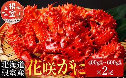 A-70030 【北海道根室産】花咲かに400g前後～600g前後×2尾