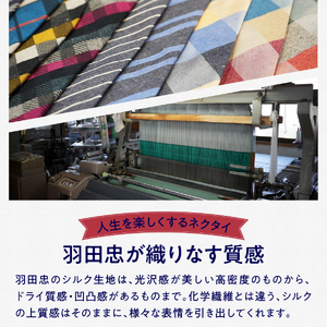 ＨＡＤＡＣＨＵ　シルクネクタイ　ＮＴＭ385　ネクタイ ストライプ シルク シルク100％ ネクタイ 絹 メンズ ファッション おしゃれ プレゼント ギフト 贈り物 贈答 高級ネクタイ ネクタイ メン