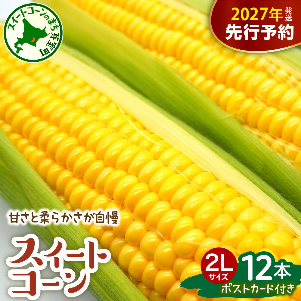 【ふるさと納税】【先行予約】 2027年産 とうもろこし ゴールドラッシュ 12本入 上美生のたからばこ ポストカード セット 【2027年7月下旬～8月下旬頃配送】 2Lサイズ以上 大粒 人気 朝採り 産地直送 甘い 送料無料 期間限定 数量限定 北海道 十勝 芽室町 お取り寄せ