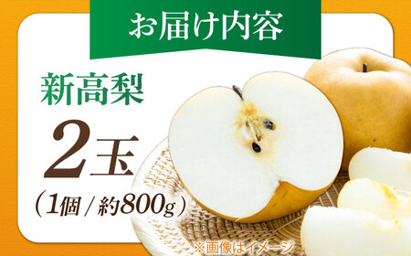 【先行予約】 まるはり新高梨（約800g×2玉入） 〈2025年9月下旬から発送開始〉 / 新高梨 梨 果物 フルーツ デザート 　【高知市農業協同組合】[ATBK001]