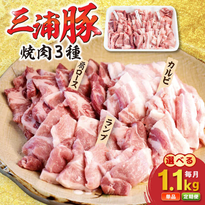 【ふるさと納税】【定期便も選べる！】豪華三浦豚 1.1kg / 焼肉セット 肩ロース カルビ ランプ ブランド豚 国産 ポーク ブランド豚 にく 肉 お肉 豚肉 ぶたにく焼き肉 焼肉 バーベキュー お取り寄せ 岐阜県産 恵那市産 /恵那市 / あづま精肉店[AUDL005]