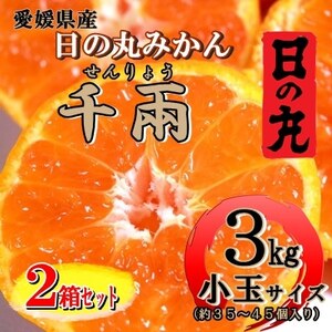 日の丸みかん「千兩」3kg　約35～45個/2箱セット/S・2Sサイズ/光センサー使用【E79-9】【1452042】