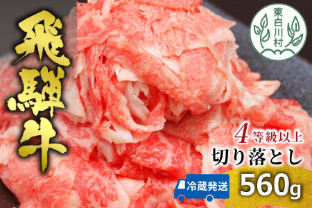 【2月発送】飛騨牛 4等級以上 切り落とし 560g 牛肉 和牛 肉 切落し ブランド牛 4等級 5等級 国産 10000円