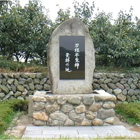 〈R8年11月以降発送〉刀根早生柿発祥の地天理市のあんぽ柿2箱セット(12～16個入り)_果物・フルーツ 干し柿 ドライフルーツ ほしがき ホシガキ_【1091685】