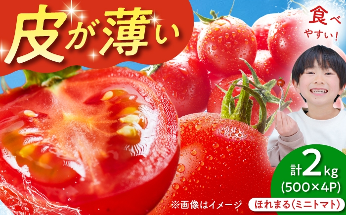 
                  北海道産 ミニトマト ほれまる 2kg（4パック）《喜茂別町》【富田農園/スプレス】 ミニトマト とまと ミニトマト みにとまと 野菜 北海道 ミニトマト2キロ 食べやすい [AJAJ012] 15000 15000円
                