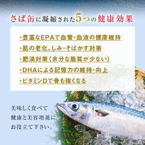 【11月配送】缶詰 さば缶詰 味噌煮 12缶 サバ缶 鯖缶 さば缶 鯖 味噌 国産 常温 長期保管 ローリングストック 備蓄 常温保存 防災 非常食 キャンプ 保存食 長期保存可 缶詰め セット 保存