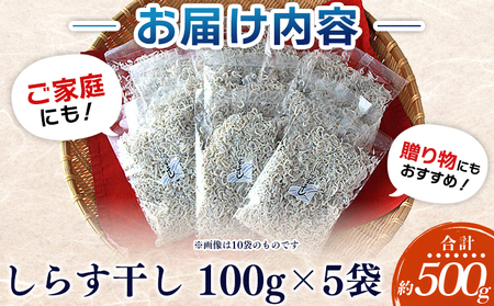 ＜漁師さん自慢のしらす干し 500g(100g×5パック)＞ シラス 魚介類 さかな 海産物 海鮮 海の幸 小分け 国産 ご飯のお供 丼 おつまみ 晩酌 おかず おやつ 特産品 産地直送 濱田水産 愛