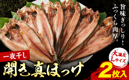 北海道産 特大 真ほっけ 一夜干し 2枚 肉厚 脂のり抜群