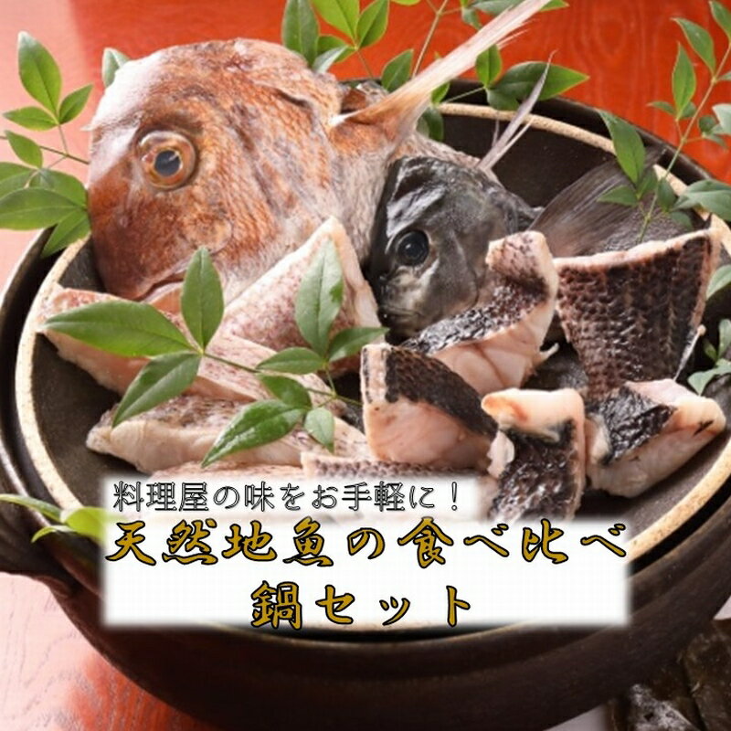 【ふるさと納税】天然地魚の食べ比べ 鍋セット