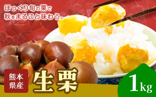 栗 生栗 1kg とくちゃん農園《2026年9月中旬-10月下旬頃出荷予定》熊本県 菊池市 栗 くり 熊本県産 秋の味覚 果物 くだもの フルーツ デザート ご飯