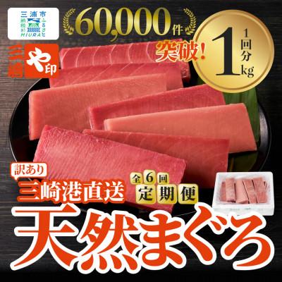 ふるさと納税 三浦市 【毎月定期便】【訳あり】老舗三崎まぐろ問屋から直送!天然マグロ赤身1kgをお届け全6回