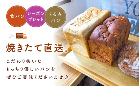 【最上級の小麦粉使用】 【3回定期便】 パン 詰め合わせ 3種 朝のお供に ＜MAHALO＞ [CFL026]