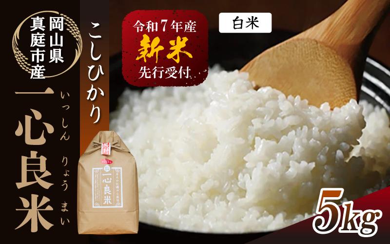 
            【令和7年産先行予約】 真庭市産コシヒカリ 米ぬか 牡蠣栽培米 『 一心良米 』 白米 ５kg / お米 いっしんりょうまい 岡山県 真庭市 白米 米 コシヒカリ こしひかり 人気 ブランド米 新米 令和7年産 2025年産
          