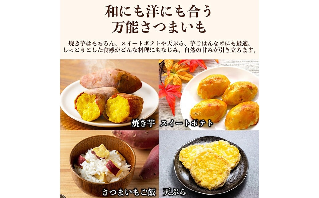 シルクスイート さつまいも 約5kg 
