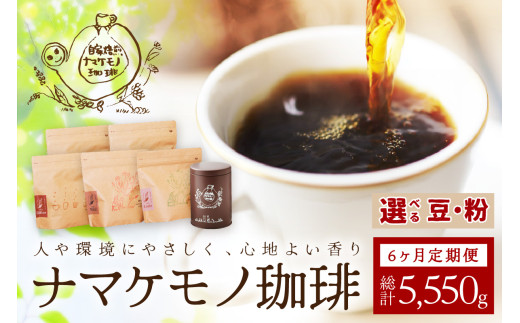スローな浜田で焙煎をした珈琲（９２５ｇ×6回の定期便）＜粉でのお届け＞【023_0536】