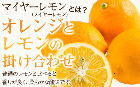 （先行予約）【南信州レモン】ハウス栽培減農薬「マイヤーレモン」（1.2kg）と無添加「マイヤーレモン ママレード」（150g×1個）