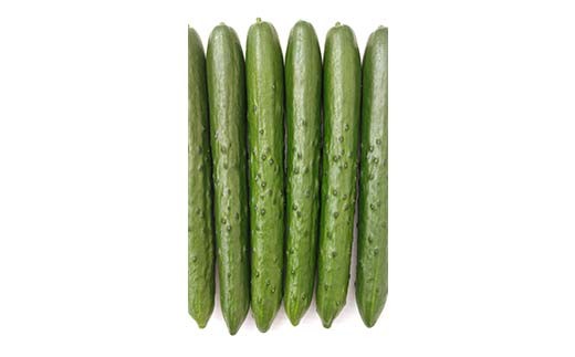 タクシー会社直送 パリッと歯ごたえ 岩瀬きゅうり2kg キュウリ 野菜 漬物 サラダ 福島県 須賀川市 F7X-0781