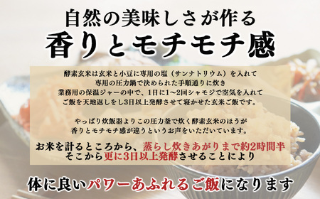 【 定期便 3回 】酵素玄米 ごはん ( 長岡式 ) 約 6.2kg | 酵素玄米 長岡式 オーガニックカフェ 奈良県 平群町