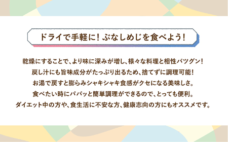  ＼ ドライぶなしめじ ／ 20g　1袋 （Bz-001）
