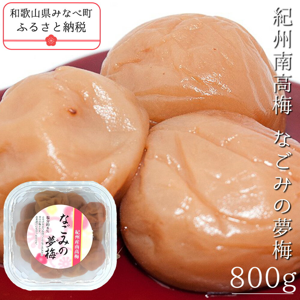 【ふるさと納税】紀州南高梅なごみの夢梅 800g | 《日本一の梅の産地》 《百年の伝統》 紀州 紀州梅干 和歌山 梅 うめ ウメ 梅干し 梅干 塩分控えめ ハチミツ はちみつ梅 甘口