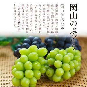 ニュー ピオーネ 2房（1房480g以上）約1kg 化粧箱入り ｜ ピオーネ