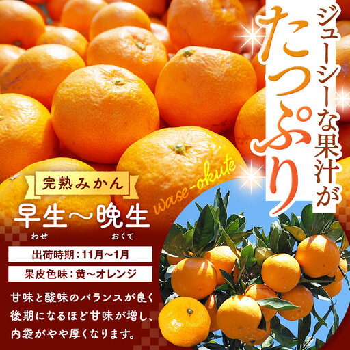 みかん ひとりじめ 箱込 約1kg(内容量約 0.9kg) サイズミックス 和歌山県産 産地直送 家庭用【みかんの会】