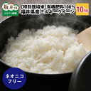 【ふるさと納税】【先行予約】【令和7年産・新米】【特別栽培米】福井県産 ミルキークイーン10kg ～化学肥料にたよらない有機肥料100%～ ネオニコフリー 【2025年10月上旬以降順次発送予定】 /白米 玄米 お米 ごはん