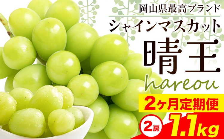 【2026年先行予約】シャインマスカット 晴王 岡山県産 定期便 2ヶ月 9月・10月発送《2026年9月中旬-10月中旬頃出荷(土日祝除く)》2房 1.1kg 晴レ乃青果　(岡山中央卸売市場店(富士紙工 有限会社)) 岡山県 浅口市 【配送不可地域あり】