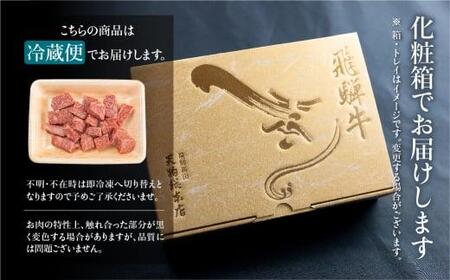  A5 飛騨牛 霜降 サイコロステーキ 300g A5等級  ステーキ 焼肉 ブランド牛 部位おまかせ 贈答 熨斗 肉 のし プレゼント 天狗総本店 日付指定不可  TR4194