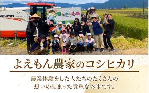 【先行予約】【令和8年産 新米】よえもん農家の玄米 10kg 栽培期間中農薬・化学肥料不使用