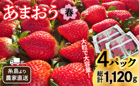 【先行予約】【農家直送！】糸島産 春 あまおう 280g × 4パック  (DXまたはGサイズ)   【2026年1月下旬以降順次発送】糸島市 / 後藤農園 [AML002] いちご いちご いちご いちご いちご いちご いちご 