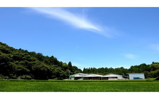 SS-47　松阪牛焼き肉贅沢食べくらべセット