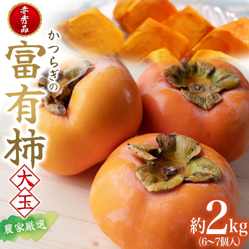 【ふるさと納税】富有柿 赤秀品大玉6個～7個入 こだわり農家厳選［KG30］ | 柿 かき フルーツ 果物 くだもの 食品 人気 おすすめ 送料無料 産地直送