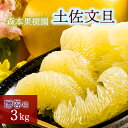 【ふるさと納税】土佐文旦贈答用約3kg（森本果樹園）柑橘 フルーツ 高知産 産地直送 特産品 産地直送 送料無料 数量限定 美味しい おすすめ 3月