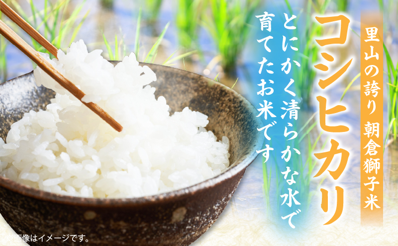 ＜数量限定＞【令和7年度産】里山の誇り 朝倉獅子米 コシヒカリ 5kg | 新米 コシヒカリ こしひかり 5kg 米 白米 ごはん ご飯 白ご飯 おにぎり お弁当 おむすび お米 国産 美味しい ツヤ