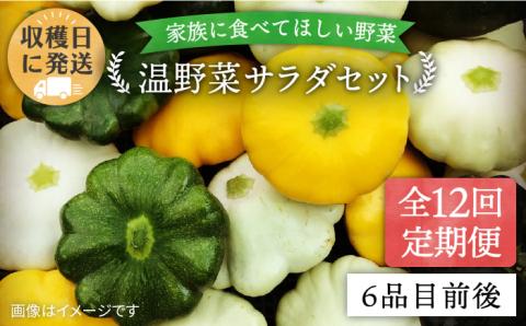 【全12回定期便】【福岡県糸島産】朝採れ 温野菜 サラダセット （電子レンジでチンするだけ！）_オーガニックナガミツファーム [AGE021]