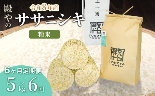 【令和8年産 新米】【定期便6ヶ月】殿やの「ササニシキ」精米 5kg×6ヶ月 山形県鶴岡市産　K-827