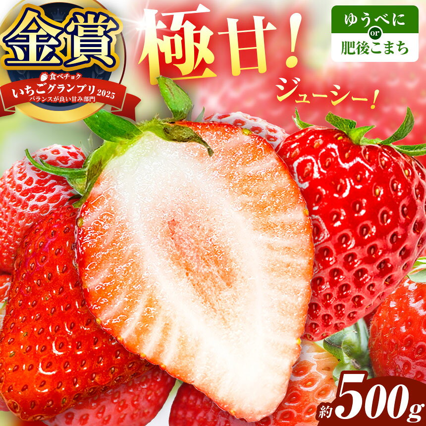 【ふるさと納税】選べる 種類 肥後こまち ゆうべに 食べ比べ 容量 約500g | 肥後こまち ゆうべに 果物 くだもの フルーツ イチゴ 苺 いちご 熊本県 玉名市