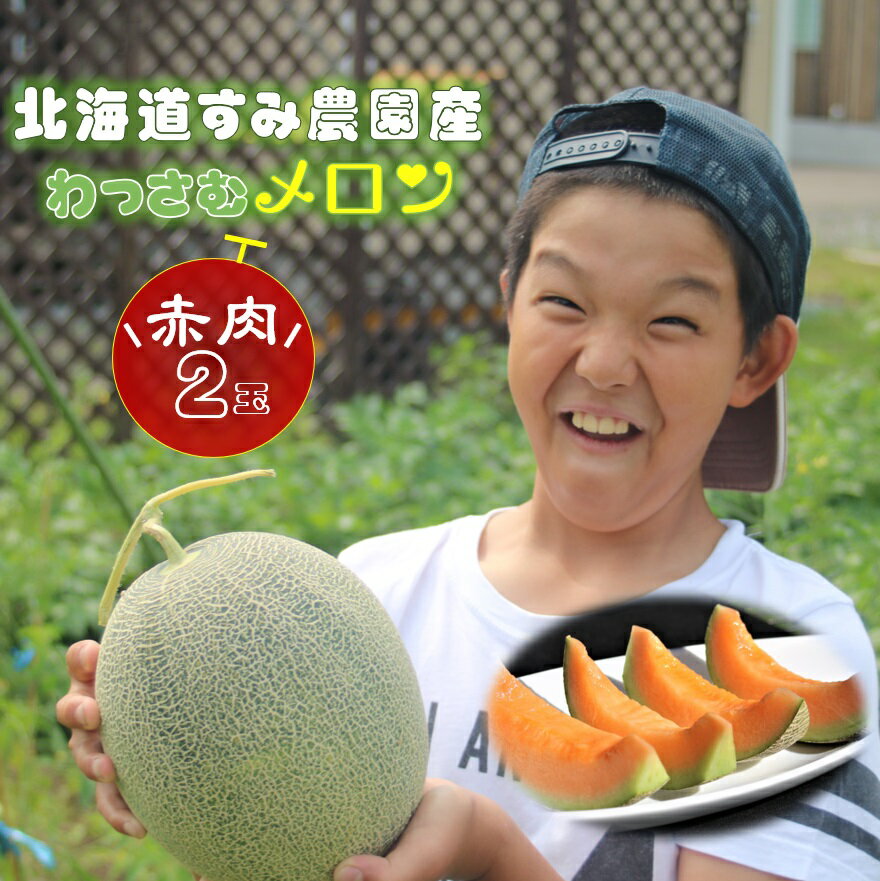 【ふるさと納税】≪令和7年産予約≫ わっさむ産メロン(赤肉2玉) ふるさと納税 メロン 北海道 【7～8月お届け】